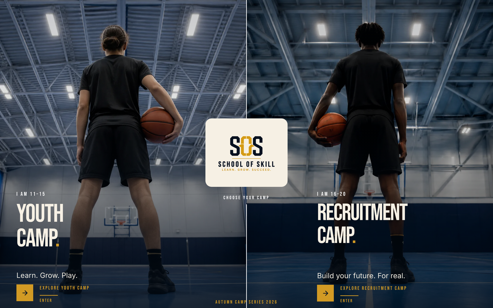 School of Skill website preview